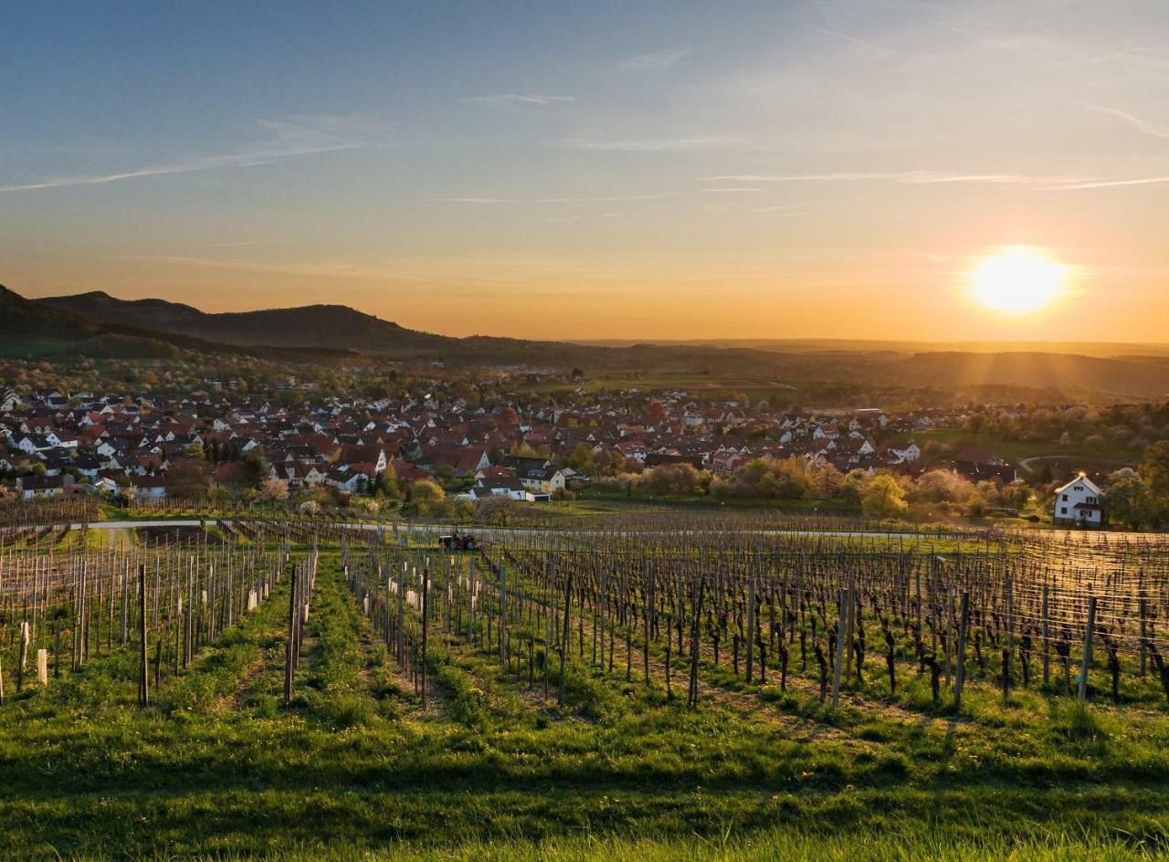 Ferienwohnung Gluiber Beuren  Exteriér fotografie